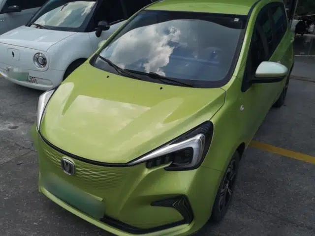 CHANGAN Benni E-Star 2020 Heartbeat Edition NMC Lithium