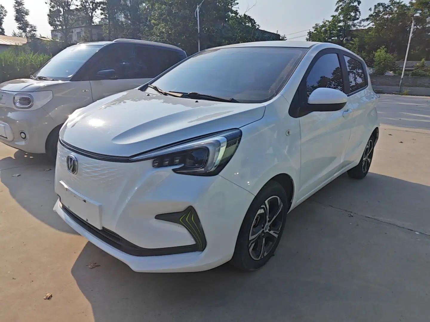CHANGAN Benni E-Star 2020 Xinyue Edition Lithium Iron Phosphate (31.18 kWh) — миниатюра 1