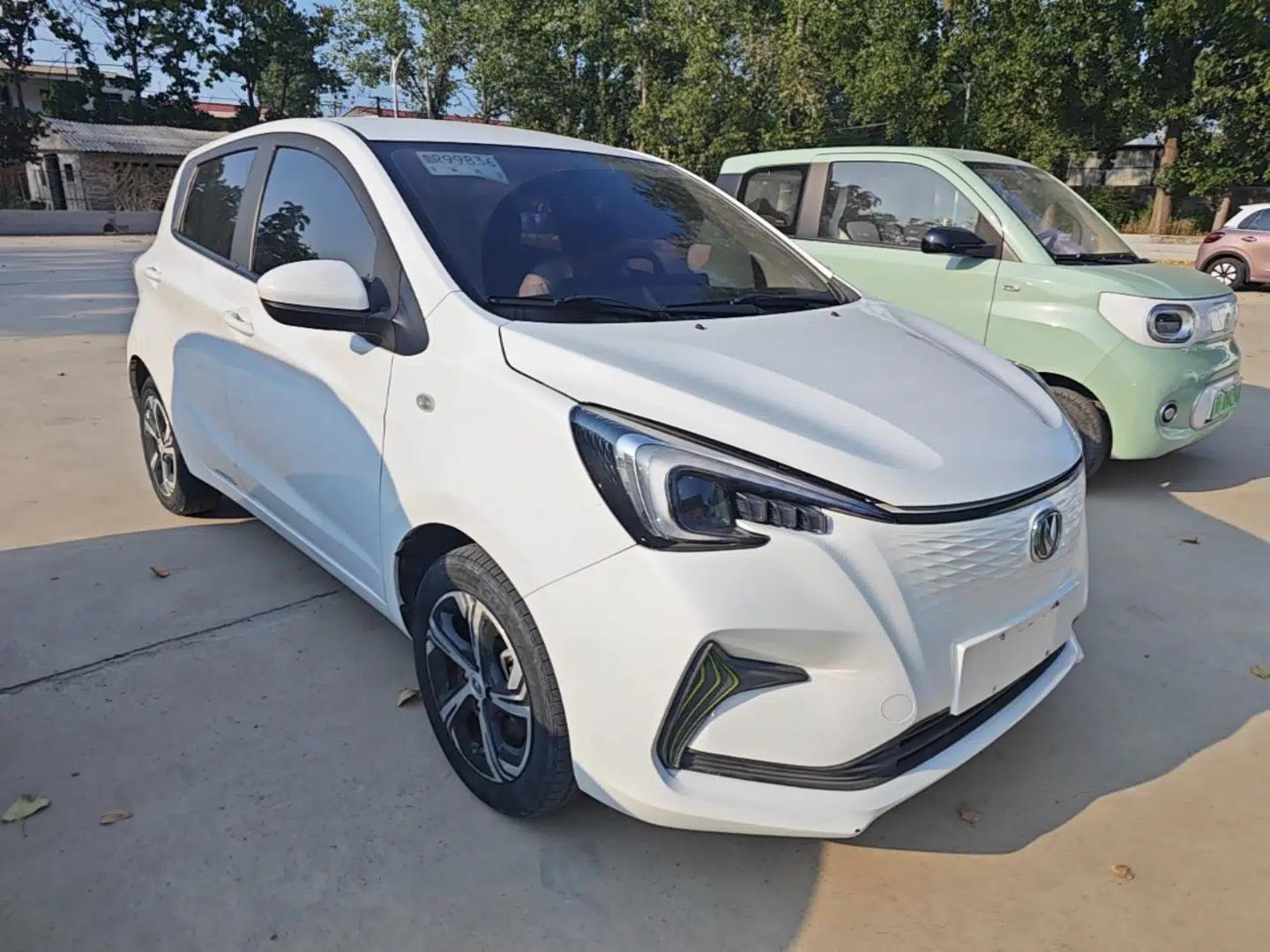 CHANGAN Benni E-Star 2020 Xinyue Edition Lithium Iron Phosphate (31.18 kWh) — миниатюра 3