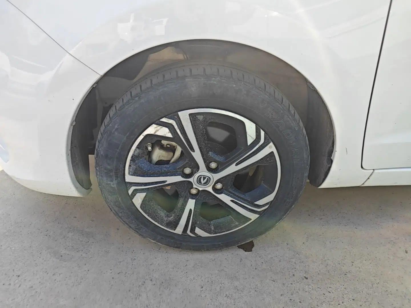 CHANGAN Benni E-Star 2020 Xinyue Edition Lithium Iron Phosphate (31.18 kWh) — миниатюра 10