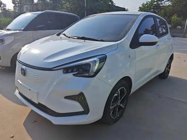 CHANGAN Benni E-Star 2020 Xinyue Edition Lithium Iron Phosphate (31.18 kWh)