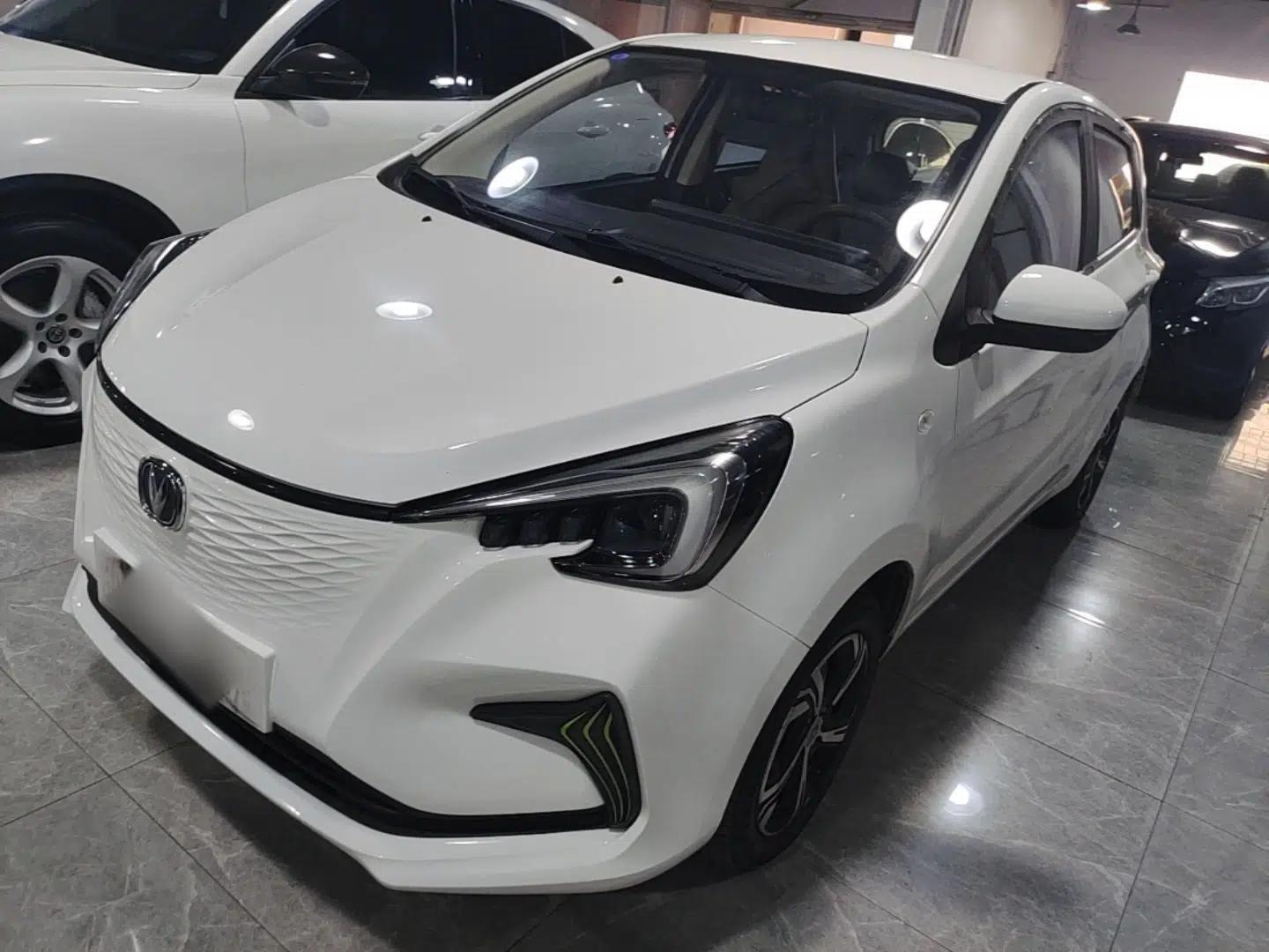 CHANGAN Benni E-Star 2020 Xinyue Edition Lithium-NMC — миниатюра 1