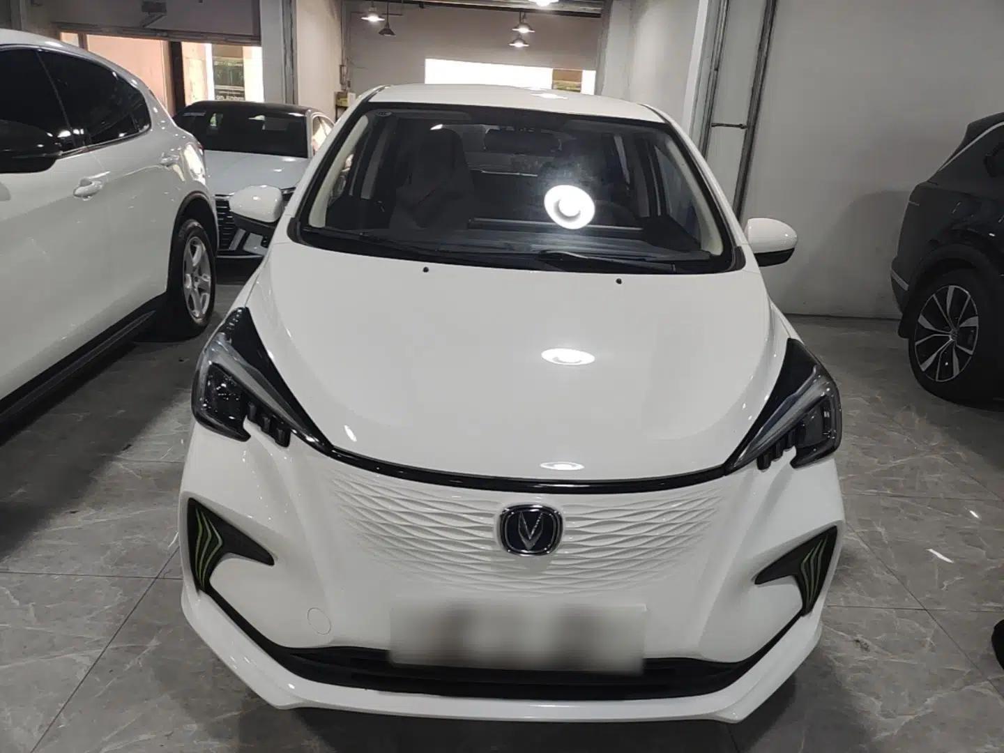CHANGAN Benni E-Star 2020 Xinyue Edition Lithium-NMC — миниатюра 2