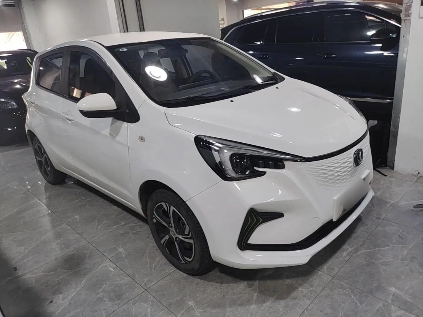 CHANGAN Benni E-Star 2020 Xinyue Edition Lithium-NMC — миниатюра 3