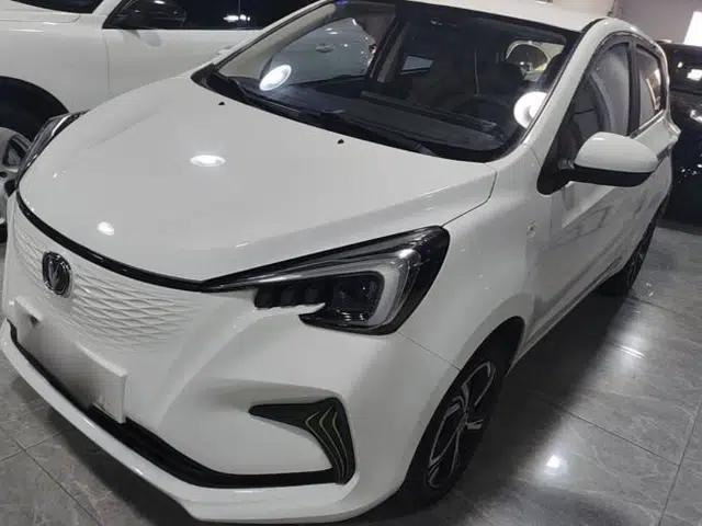 CHANGAN Benni E-Star 2020 Xinyue Edition Lithium-NMC