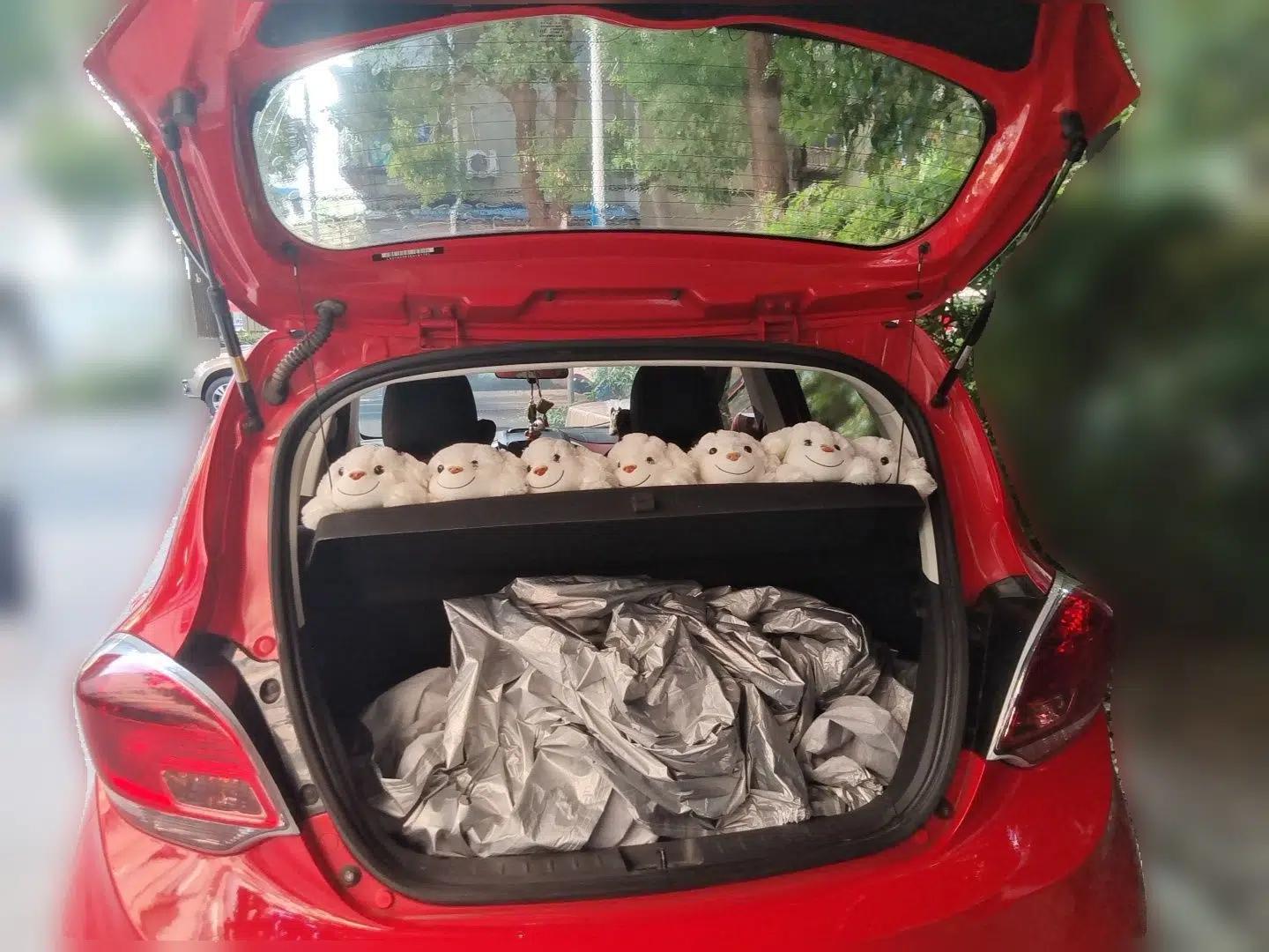 CHANGAN Benni 2014 1.4L IMT Luxury Model — миниатюра 19
