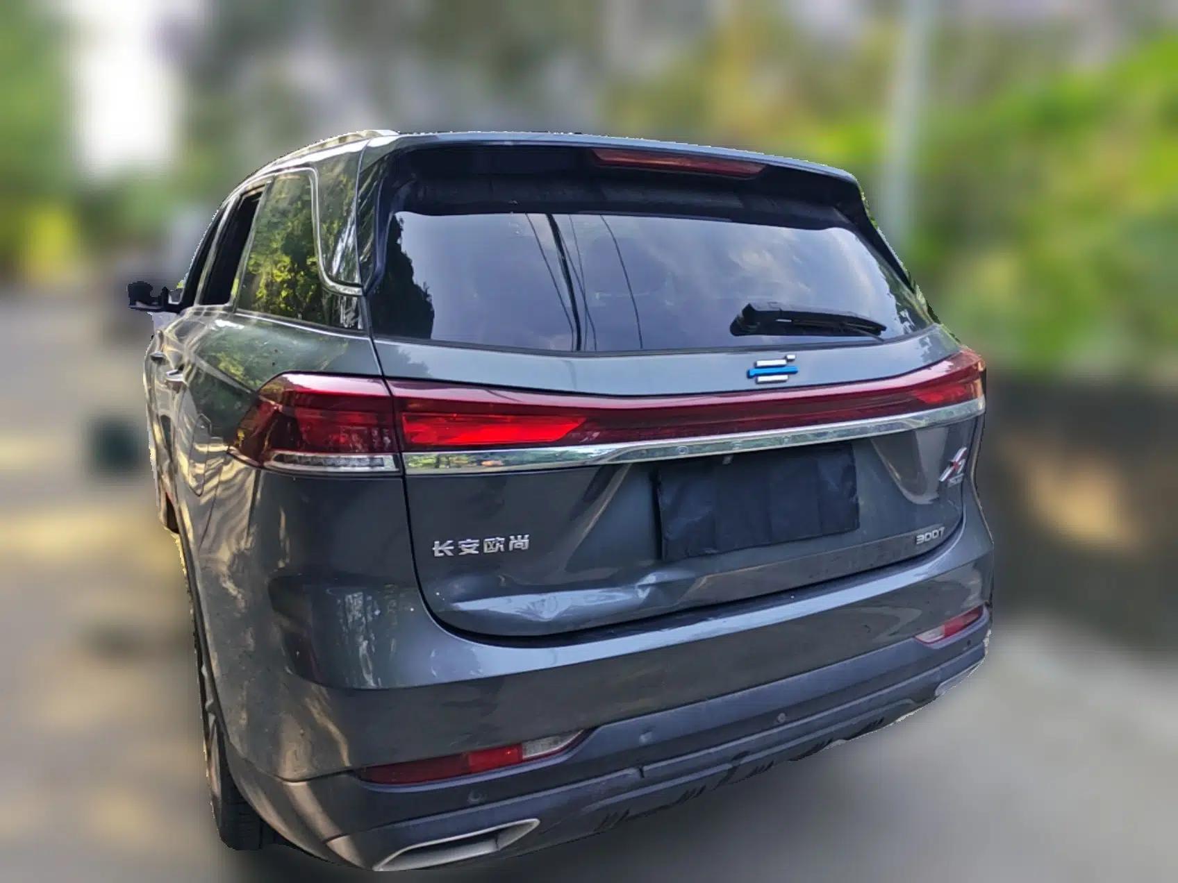 CHANGAN OSHAN X7 PLUS 2022 1.5T Blue Whale Edition Automatic Geeker Flagship Model — миниатюра 4