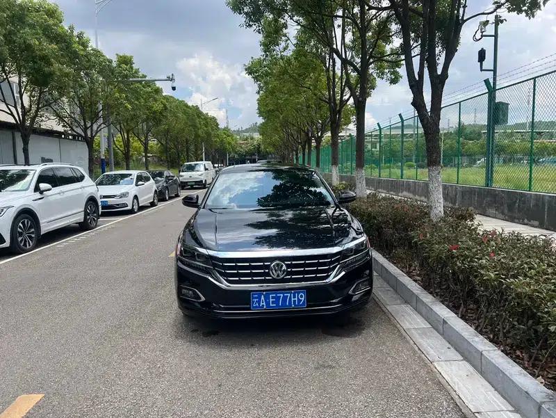 2019 Volkswagen Passat 330TSI Luxury Edition (China VI Emission Standard) — миниатюра 2