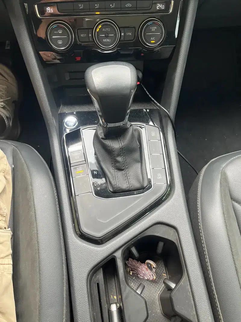 Tiguan L 2020 330TSI Automatic 2WD Panoramic Comfort Edition (National V Emission Standard) — миниатюра 13