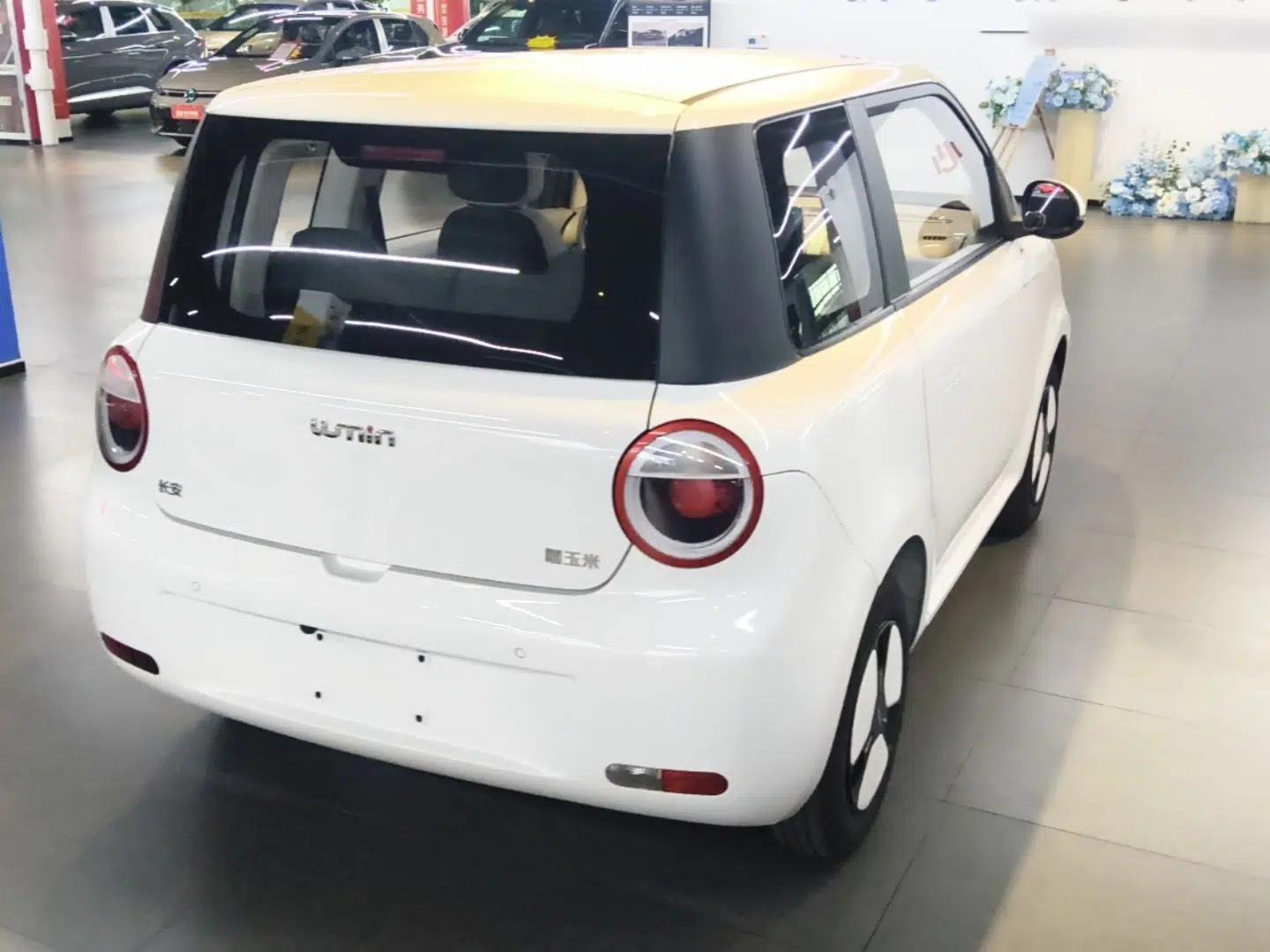 CHANGAN NEVO Lumin 2023 205km Xiangqin Version — миниатюра 6