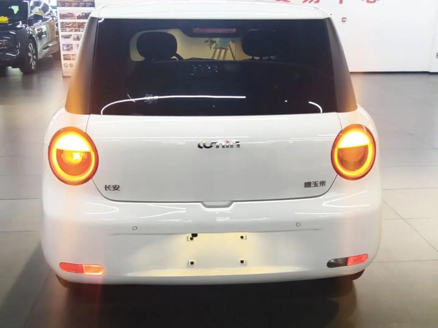 CHANGAN NEVO Lumin 2023 301km Honey Dew Edition — миниатюра 5