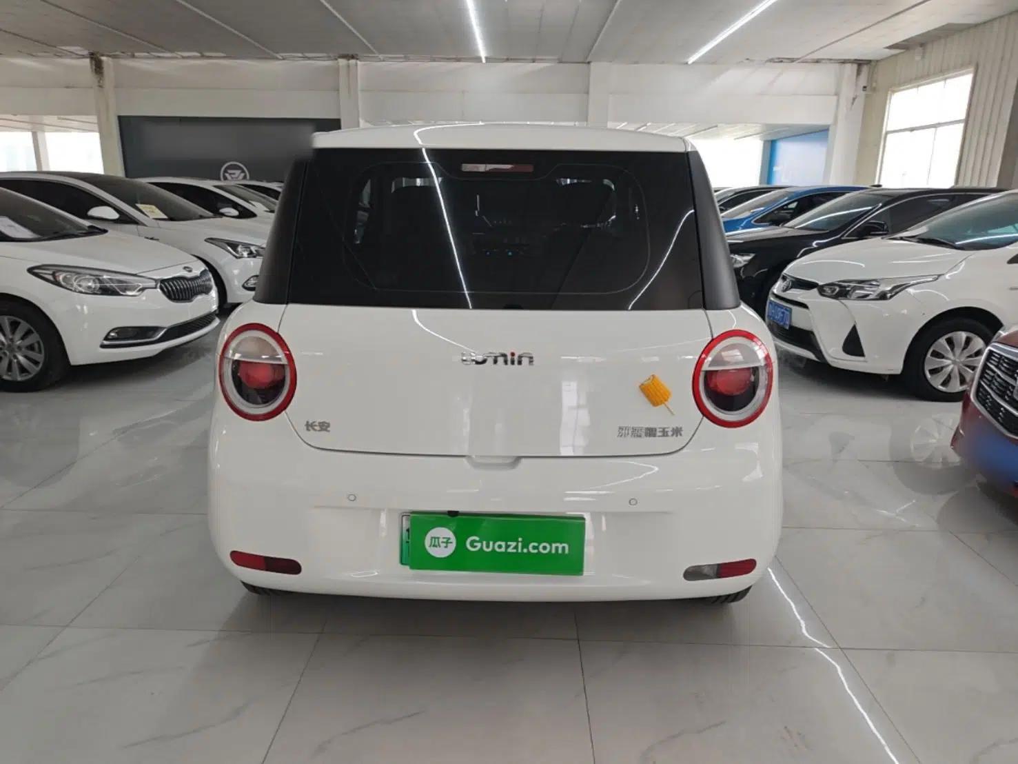 CHANGAN NEVO Lumin 2025 301km Honey Dew Edition — миниатюра 5