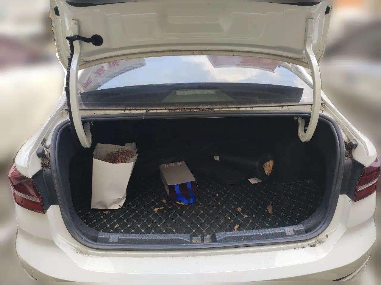 Volkswagen Lavida 2019 1.5L Automatic Fashion Edition China VI — миниатюра 19