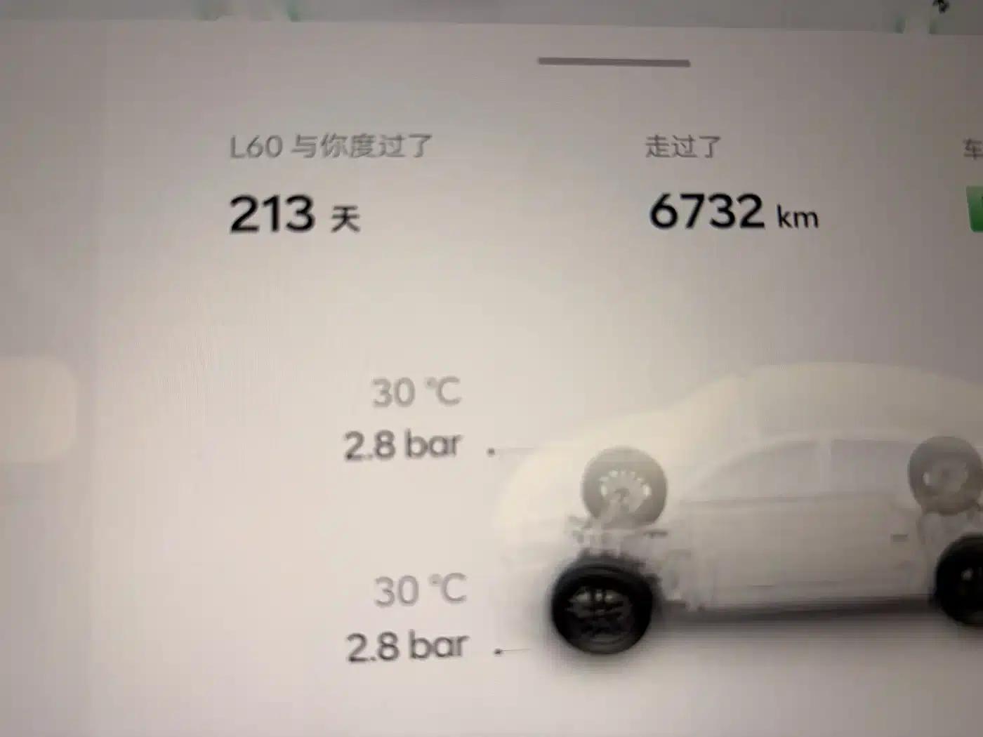 L60 2025 Model 60kWh Four-Wheel Drive — миниатюра 14