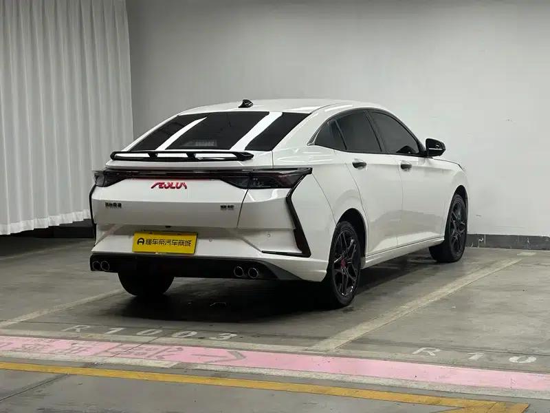 Aeolus Yixuan 2021 230T Automatic Hunter Edition — миниатюра 7