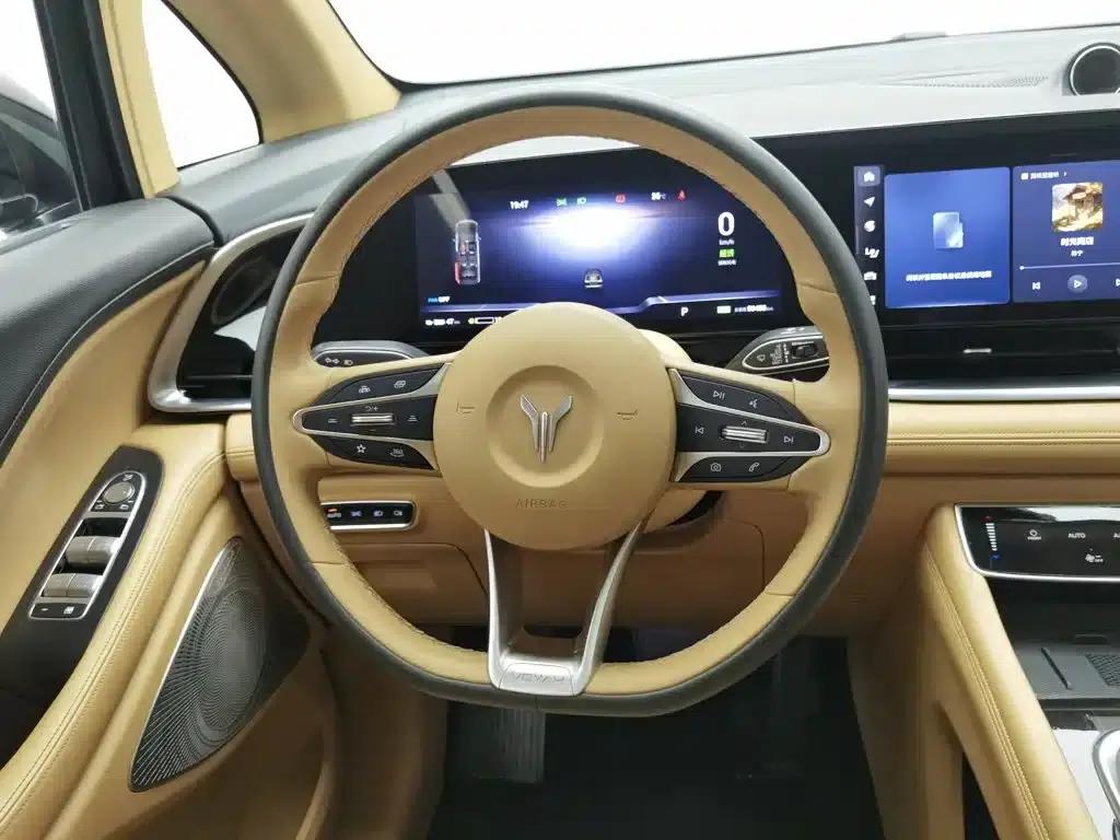 Voyah Dreamer 2024 PHEV Extended Range Premium Edition — миниатюра 11