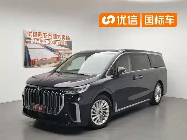 Voyah Dreamer 2024 PHEV Extended Range Premium Edition