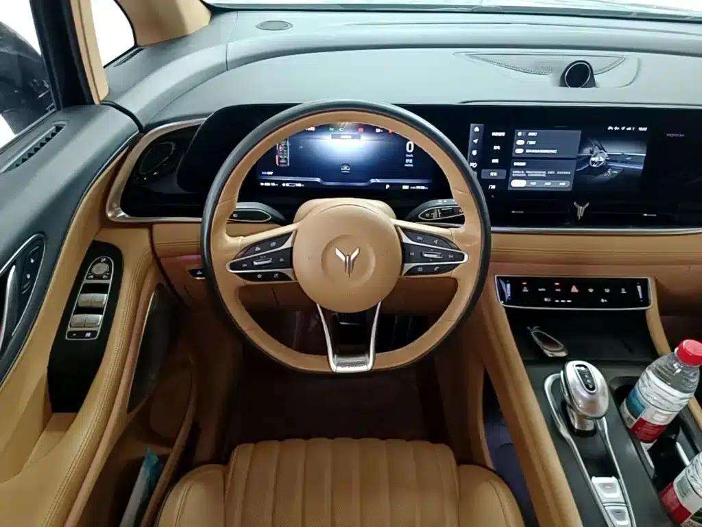 Voyah Dreamer 2022 Low-Carbon Edition Dream+ Smart Package — миниатюра 11