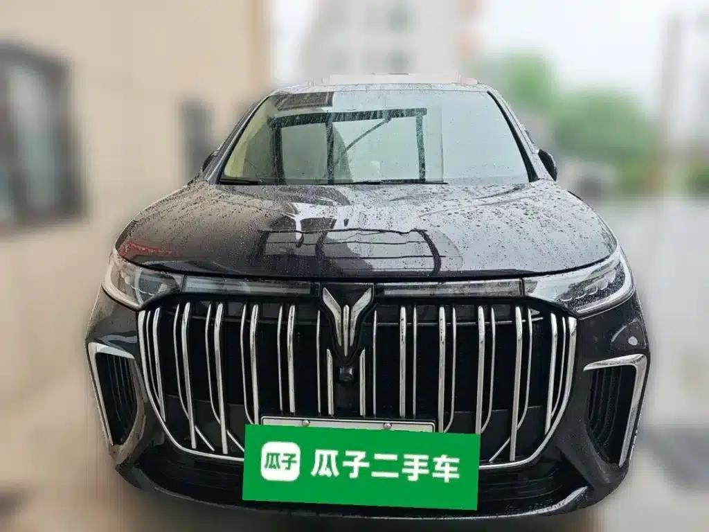 Voyah Dreamer 2022 Low-Carbon Edition Dream+ Smart Package — миниатюра 24