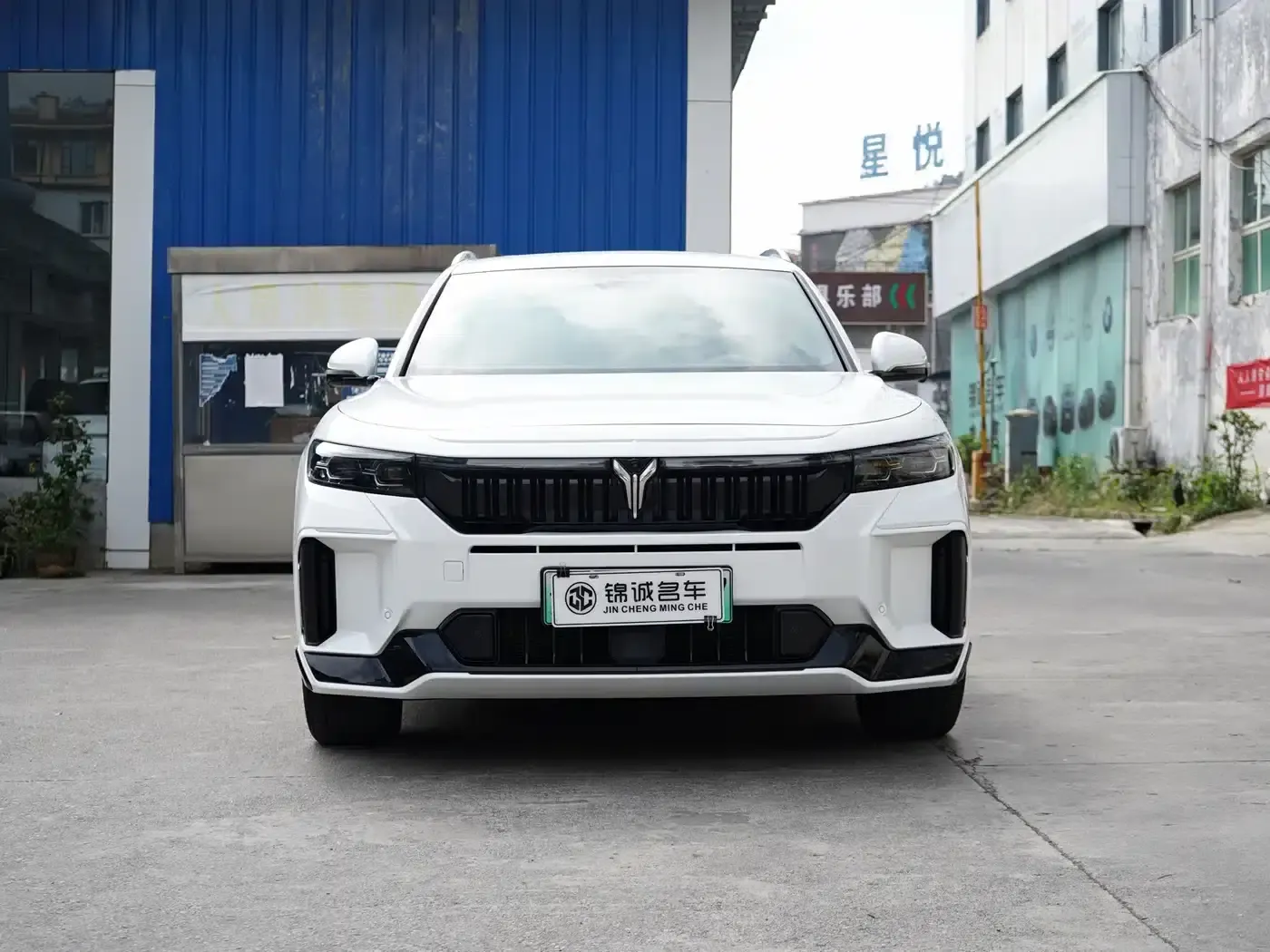 Voyah Free 2024 Model - Extended Range Intelligent Driving Edition — миниатюра 2