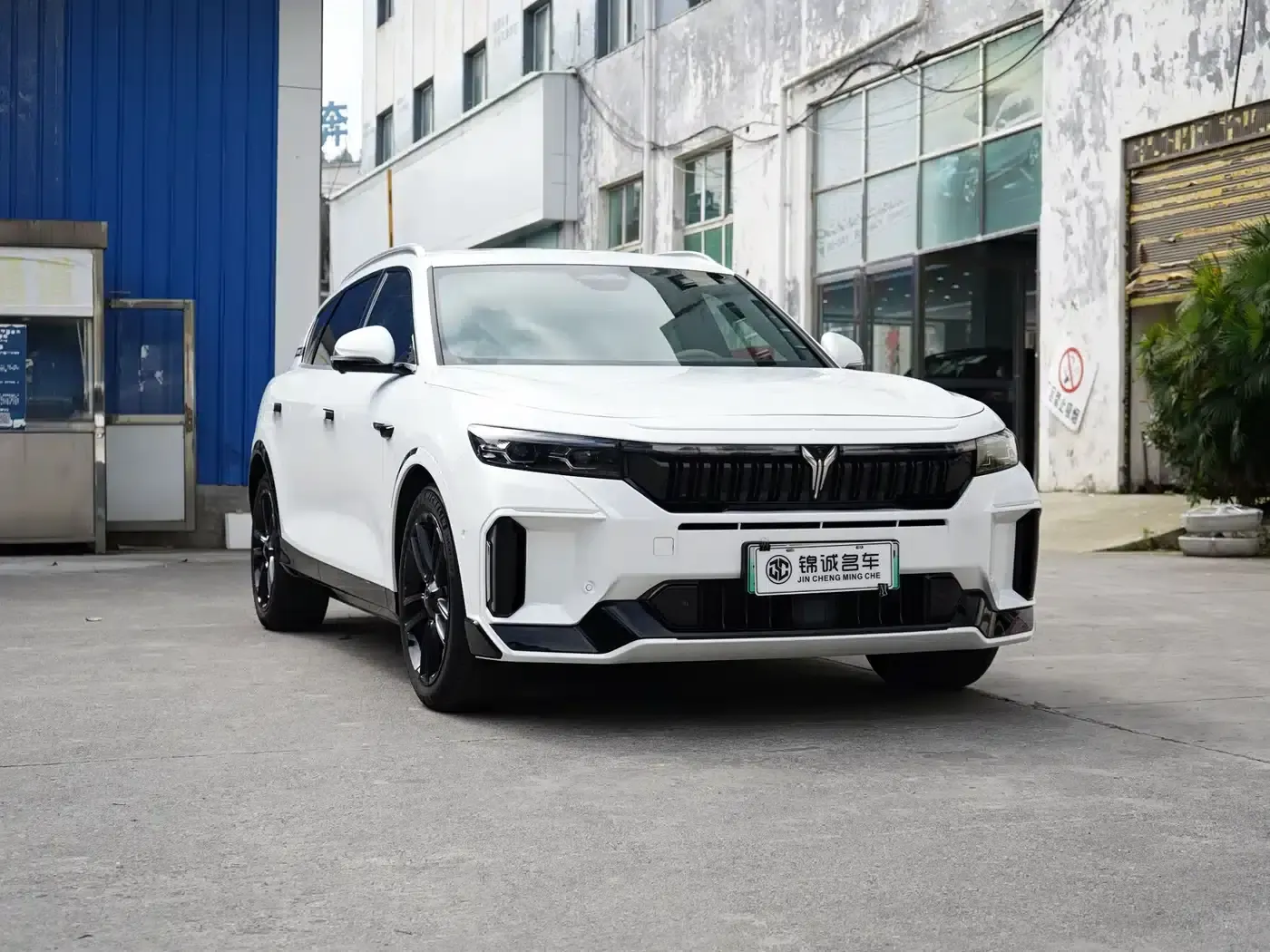 Voyah Free 2024 Model - Extended Range Intelligent Driving Edition — миниатюра 3