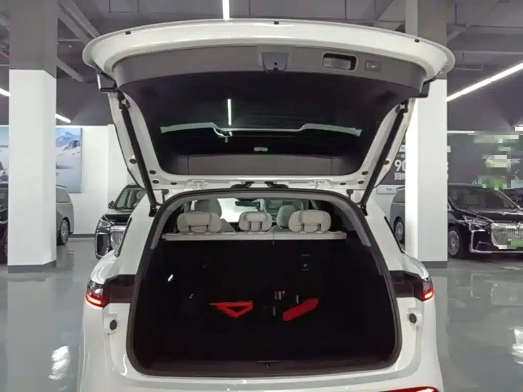 Voyah Free 2025 Model 318 259km 4WD Explorer Edition — миниатюра 19