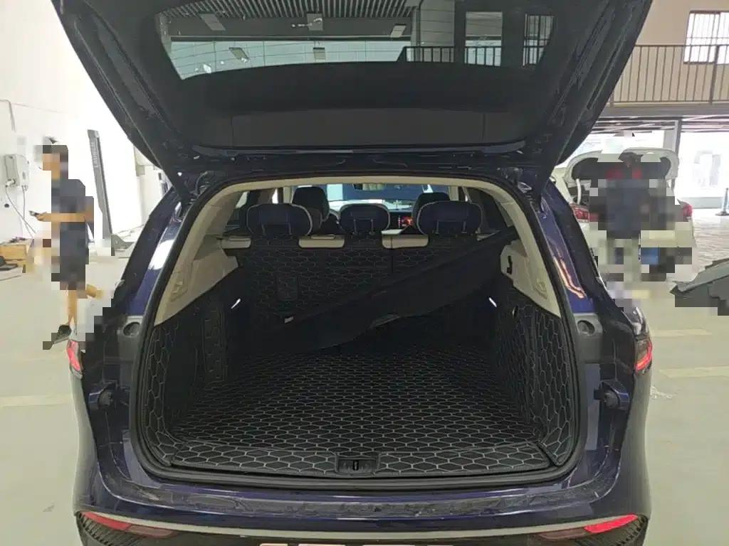 Voyah Free 2021 Two-Wheel Drive Standard Pure Electric City Edition — миниатюра 19