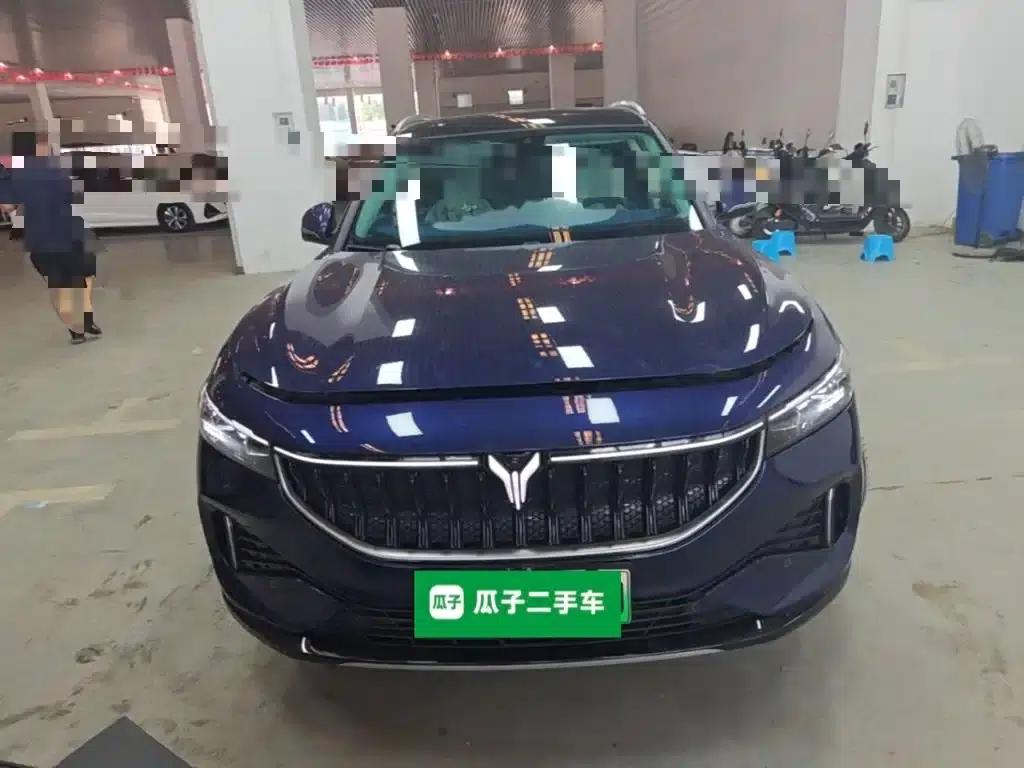 Voyah Free 2021 Two-Wheel Drive Standard Pure Electric City Edition — миниатюра 3