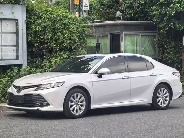 2019 Camry 2.0G Luxury Edition (China VI Emission Standard)