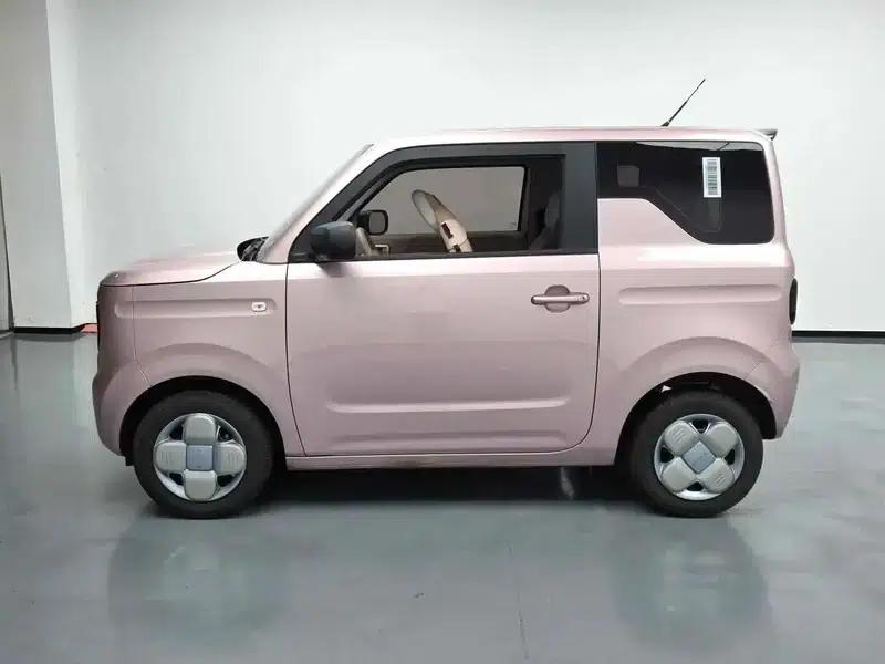 Panda 2024 Model 200km Panda Mini Endurance Bear — миниатюра 3