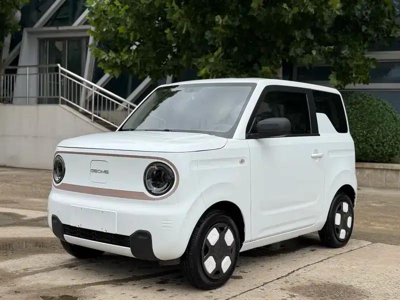 Panda 2024 Model 200km Panda Mini Endurance Bear — миниатюра 1
