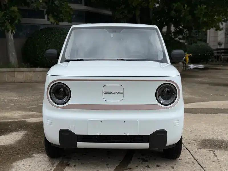 Panda 2024 Model 200km Panda Mini Endurance Bear — миниатюра 2