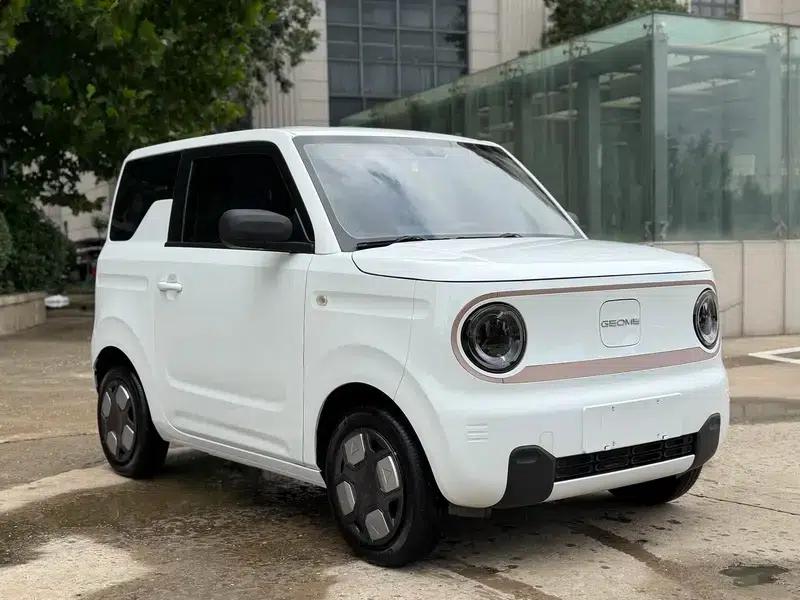Panda 2024 Model 200km Panda Mini Endurance Bear — миниатюра 3