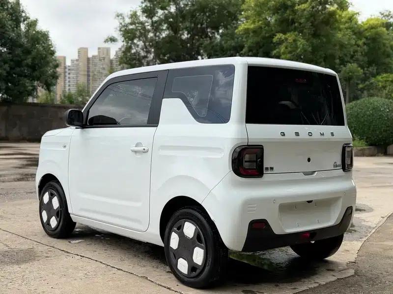 Panda 2024 Model 200km Panda Mini Endurance Bear — миниатюра 4