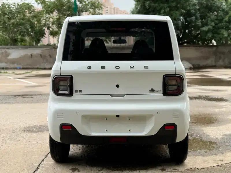 Panda 2024 Model 200km Panda Mini Endurance Bear — миниатюра 5