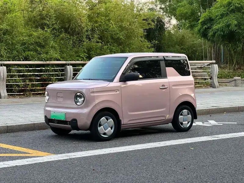Panda 2023 200km Panda Mini Agile Bear — миниатюра 1