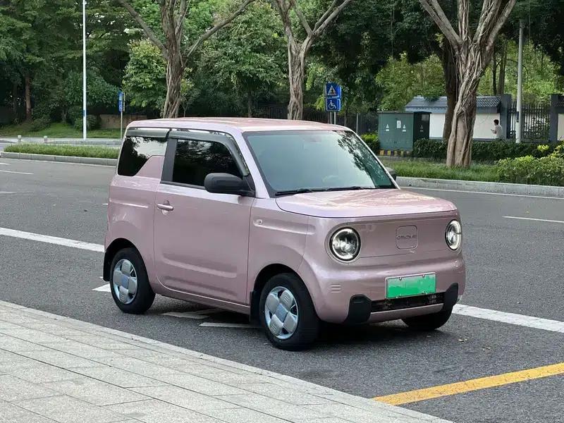 Panda 2023 200km Panda Mini Agile Bear — миниатюра 3