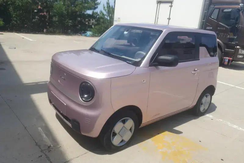 Panda 2023 Model 200km Panda Mini Endurance Bear — миниатюра 1