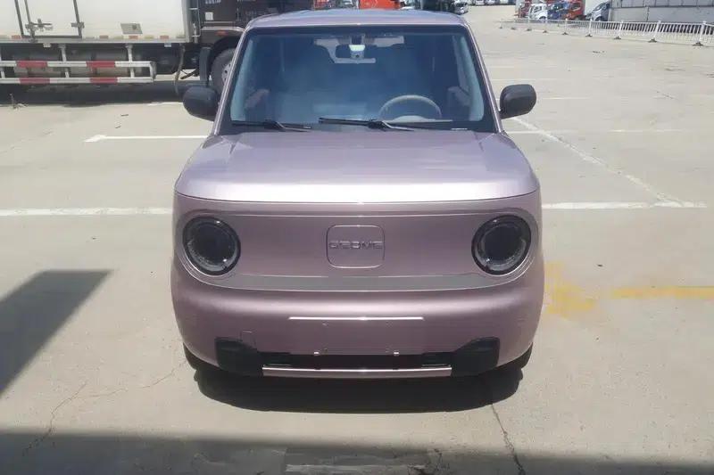 Panda 2023 Model 200km Panda Mini Endurance Bear — миниатюра 2