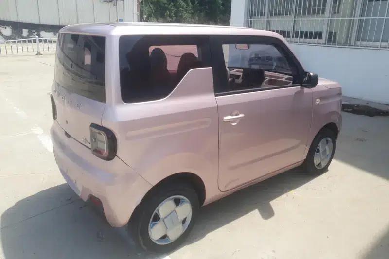 Panda 2023 Model 200km Panda Mini Endurance Bear — миниатюра 3