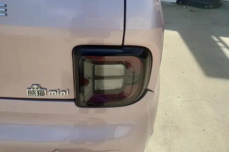 Panda 2023 Model 200km Panda Mini Endurance Bear — миниатюра 5