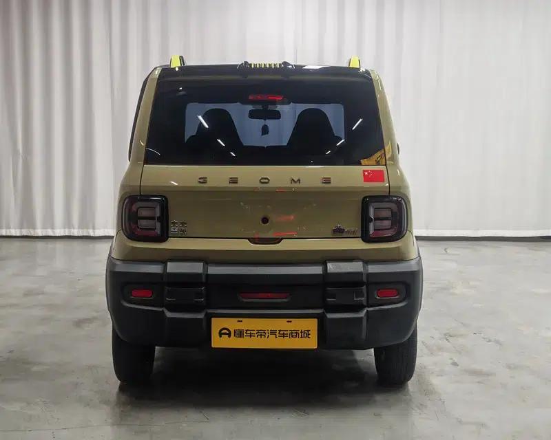 Panda 2024 Model 200km Panda Rider — миниатюра 6