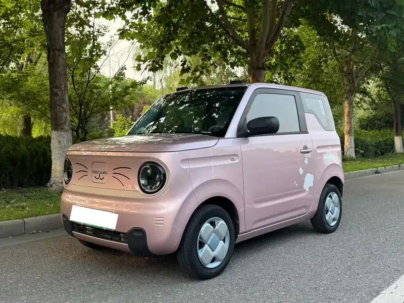 Panda 2023 Model 200km Panda Mini Endurance Bear — миниатюра 1