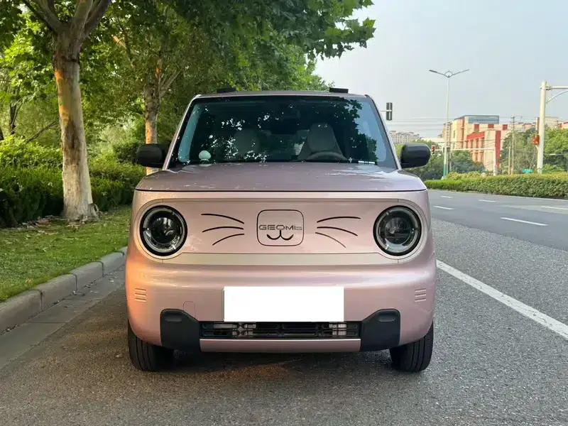 Panda 2023 Model 200km Panda Mini Endurance Bear — миниатюра 2