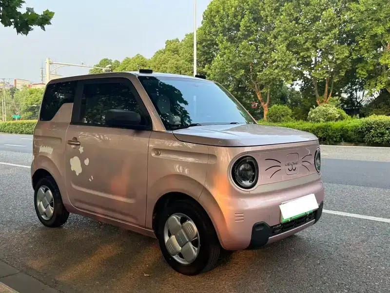 Panda 2023 Model 200km Panda Mini Endurance Bear — миниатюра 3