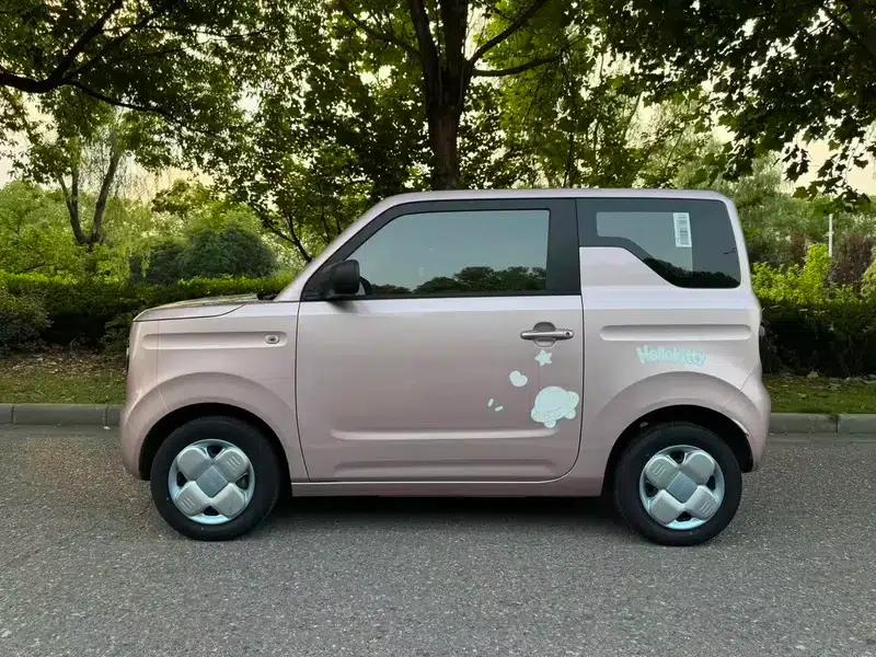 Panda 2023 Model 200km Panda Mini Endurance Bear — миниатюра 4