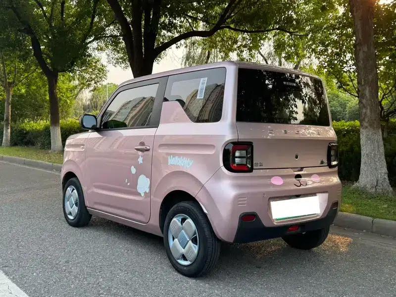 Panda 2023 Model 200km Panda Mini Endurance Bear — миниатюра 5