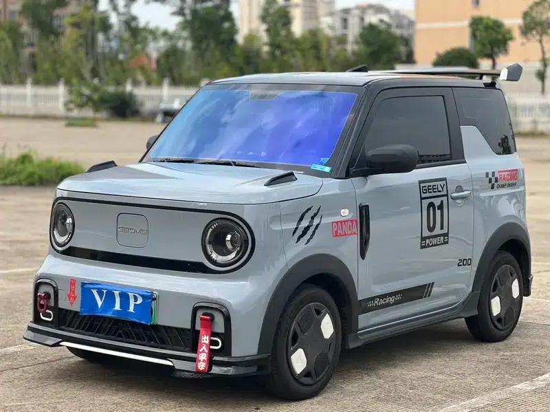 Panda 2025 Model 210km Panda Gokart — миниатюра 1