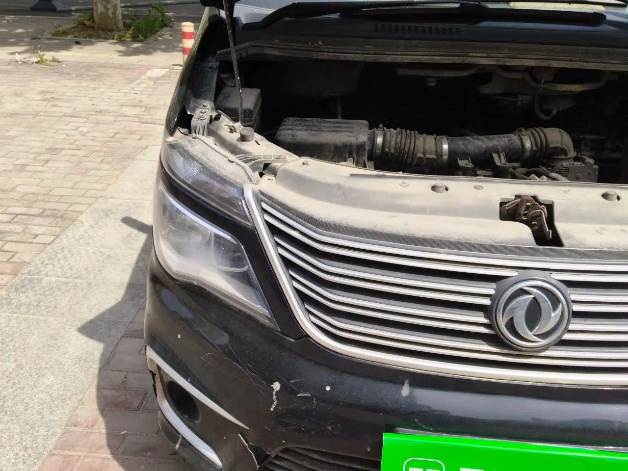 FORTHING Lingzhi 2020 M5L 1.6L Utility Model — миниатюра 7