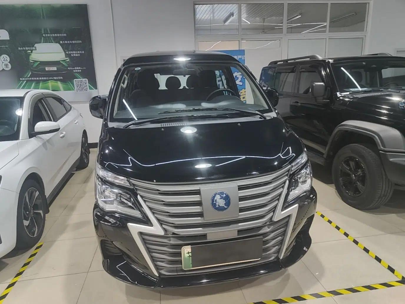 FORTHING Lingzhi M5 2025 Model, 420km Pure Electric Urban Version, 5-seater — миниатюра 2